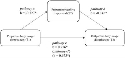 A prospective study on body image disturbances during pregnancy and postpartum: the role of cognitive reappraisal